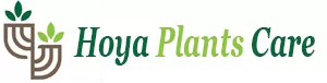 Hoya-Plant-Care
